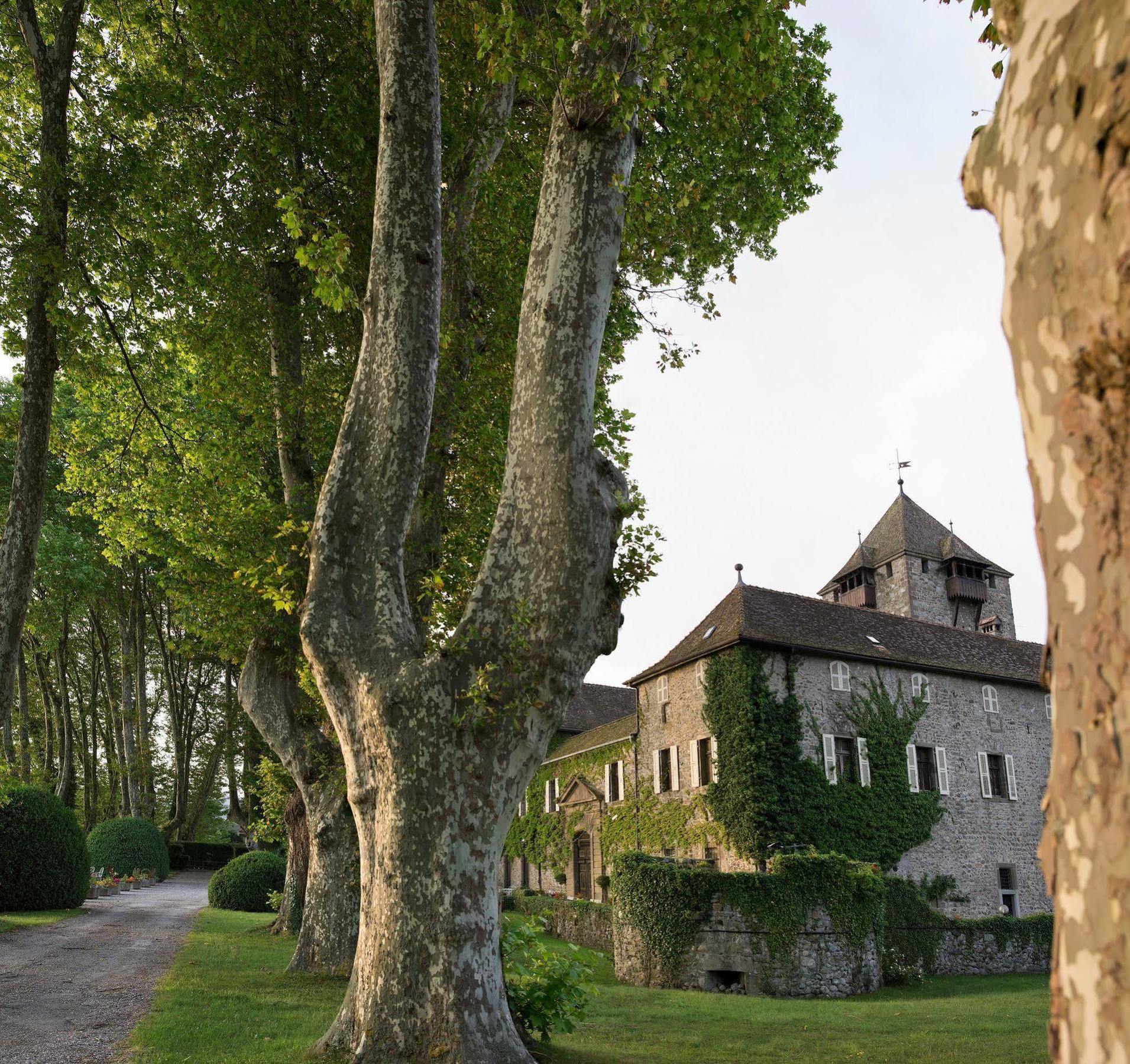 Chateau De Coudree - Les Collectionneurs Sciez Bagian luar foto